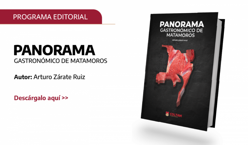 Panorama gastronómico Matamoros