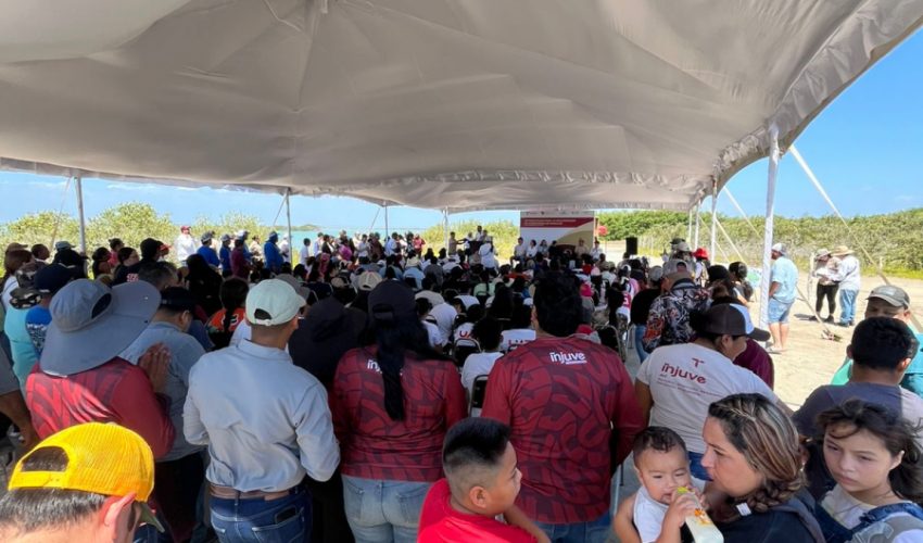 El Colegio de Tamaulipas se sumó al evento de reforestación del manglar